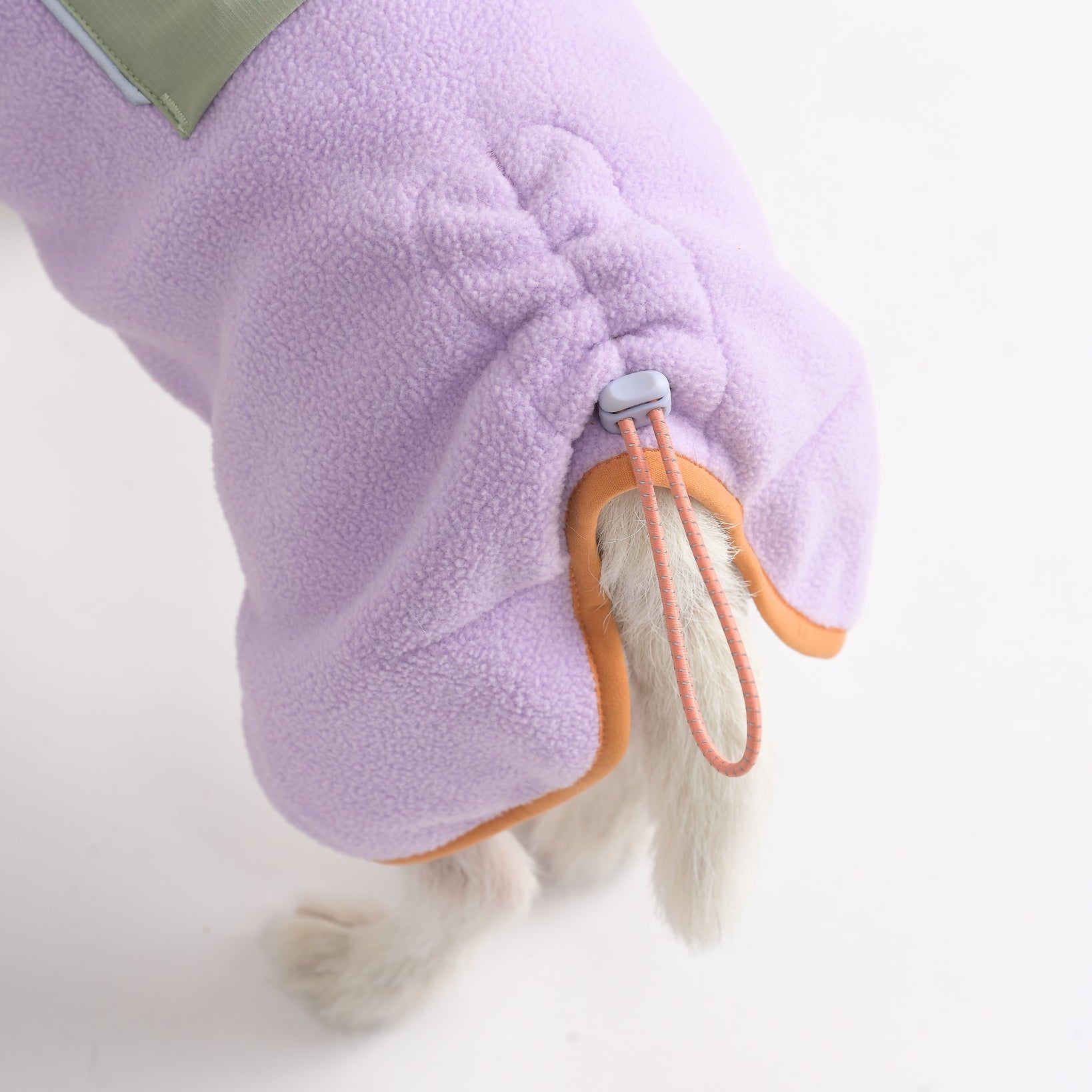 Purple pet coat with green lining on a white background