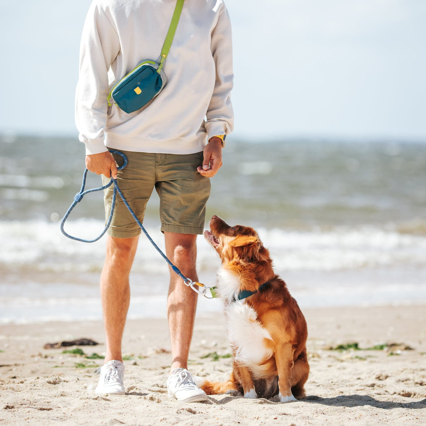 Man walking a brown dog on a leash at the beach, both looking at each other, with the ocean in the background.