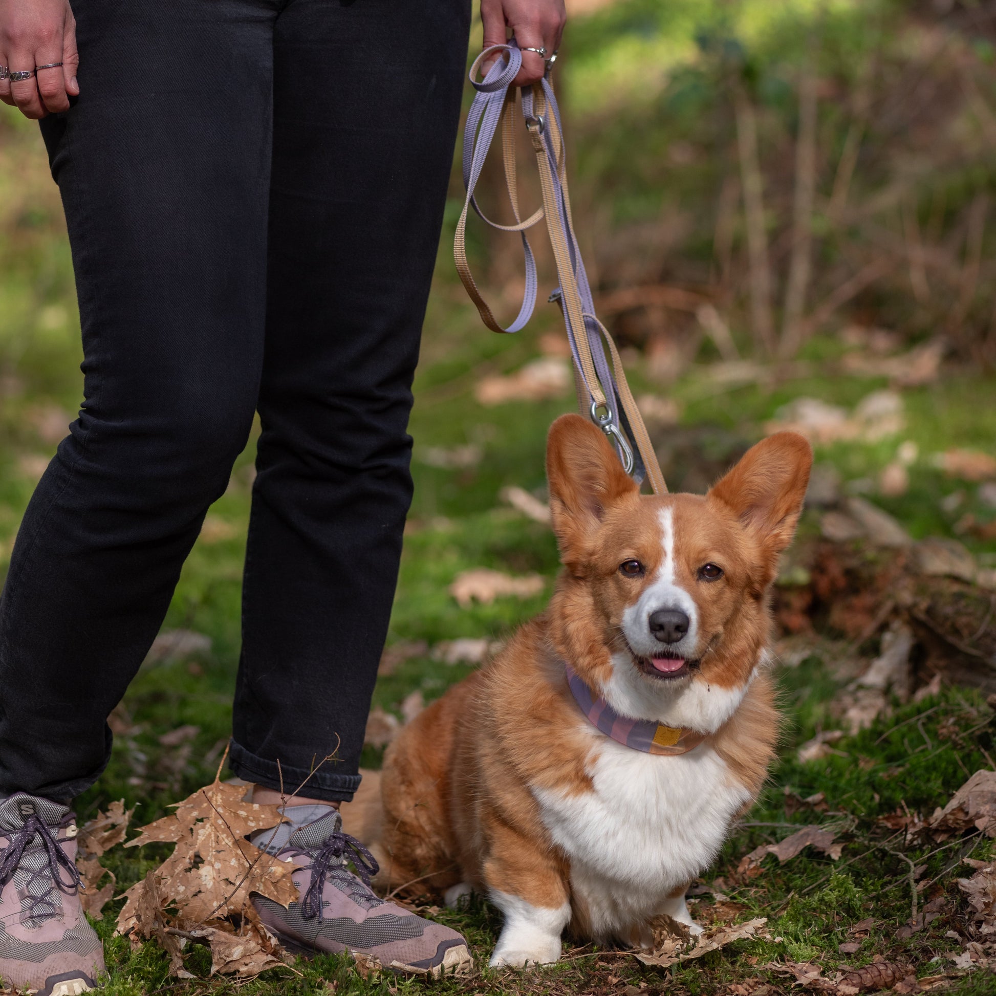 Person standing in a forest holding a leash, with a corgi sitting on the ground beside them.