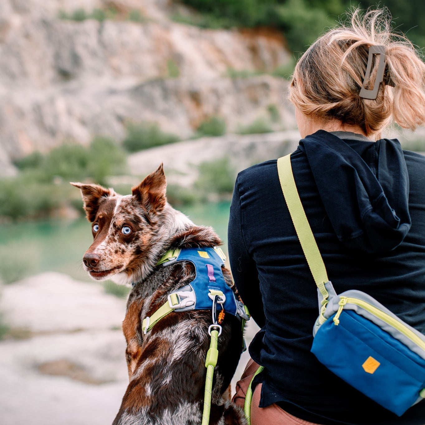 A person with blonde hair in a ponytail sits outdoors facing away, wearing a black hoodie and blue crossbody bag. Next to them is a brown and white dog with blue eyes, wearing the Alpha 360 Dog Harness Deep Teal. Rocky landscape and trees behind.