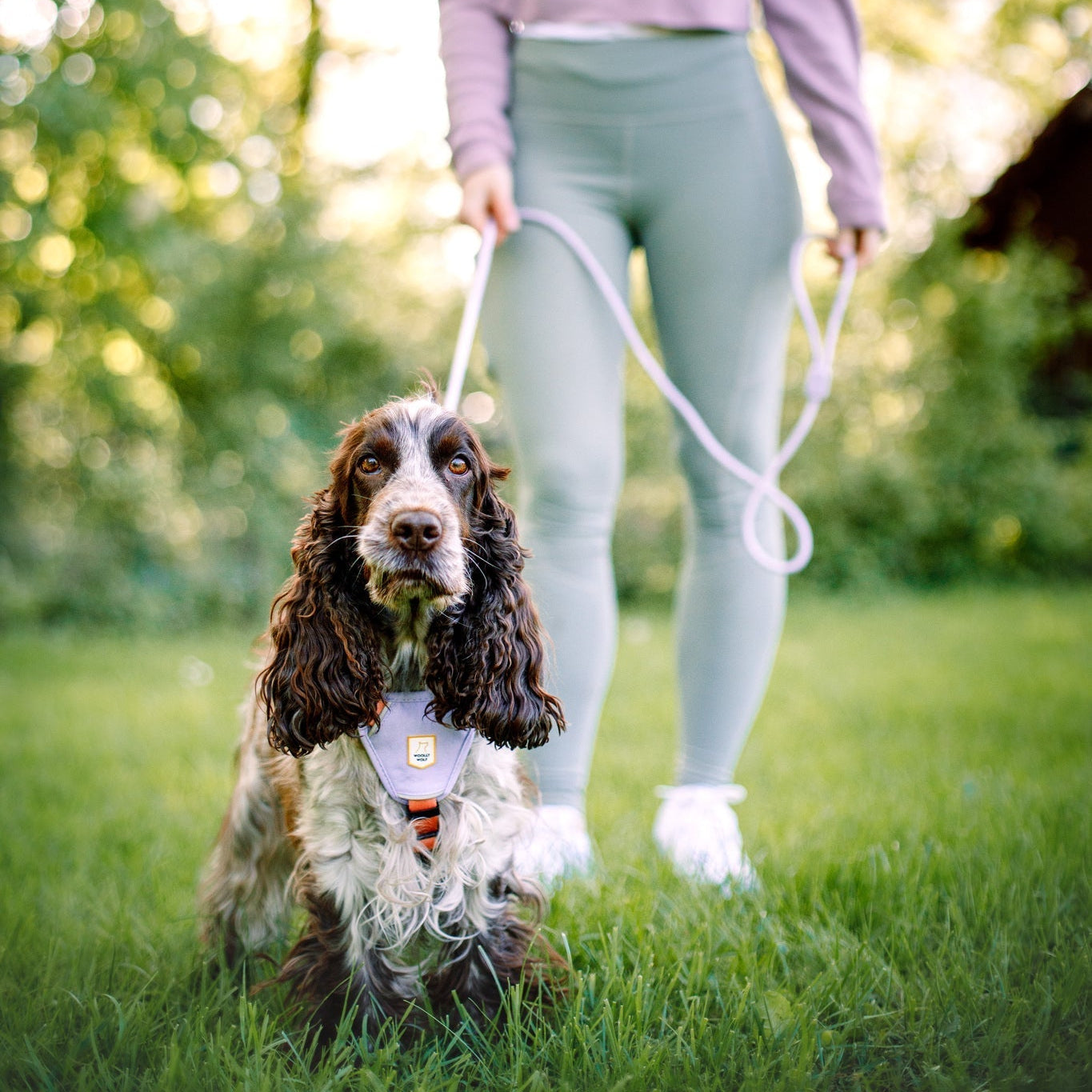 Color Block Dog Harness - XXSPink