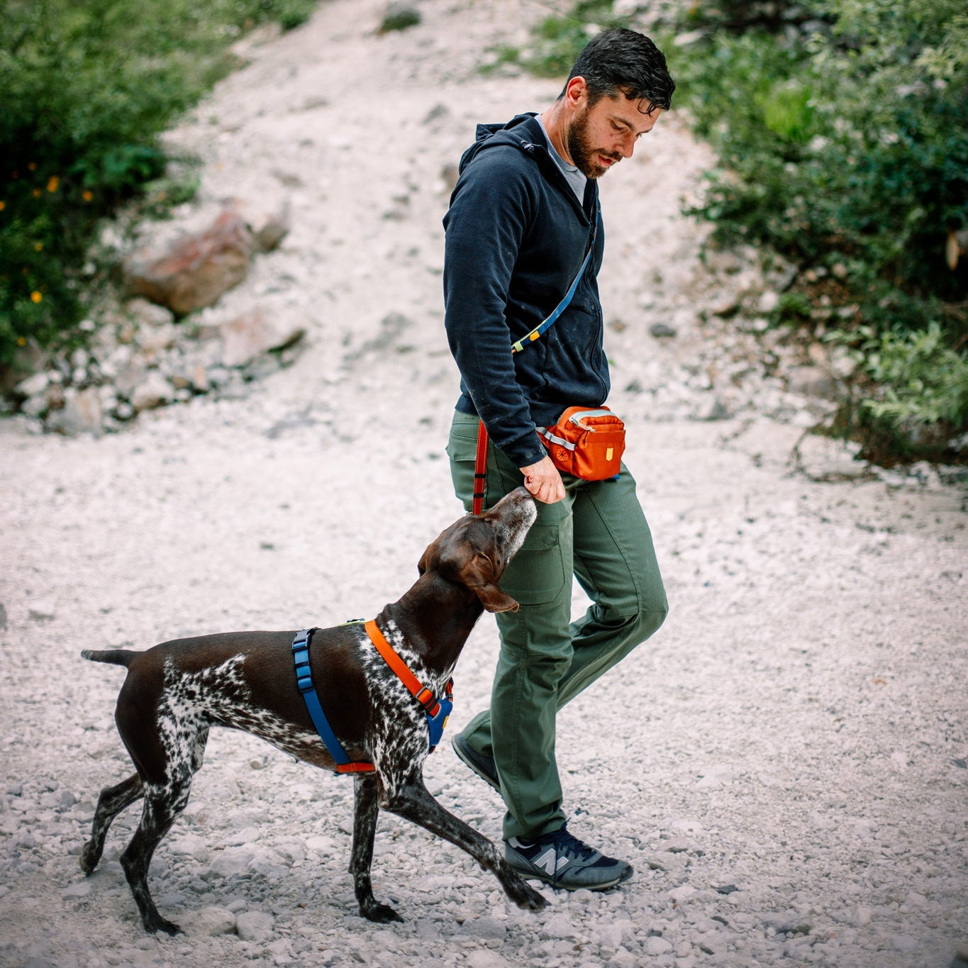 A man hikes a rocky forest trail with his brown and white dog, who wears a blue harness and the Color Block Multi-Use Dog Leash Lime Mix. The man wears a hoodie, green pants, and carries a red bag as his dog looks up at him.