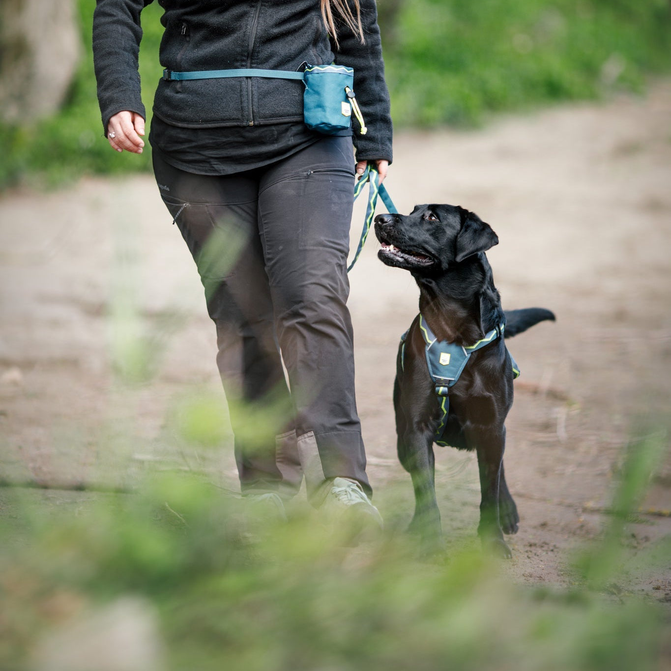 Horizon Dog Leash 