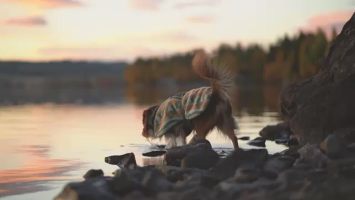 Load video: 
