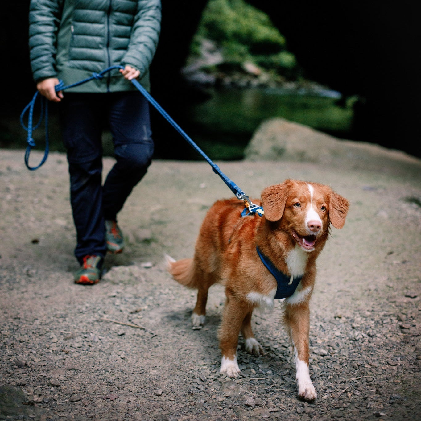 A woman with curly red hair in a green jacket stands on a rocky path, smiling as she holds the leash of her brown and white dog wearing the Roam Dog Harness in Deep Teal. A dark cave entrance is seen in the background.