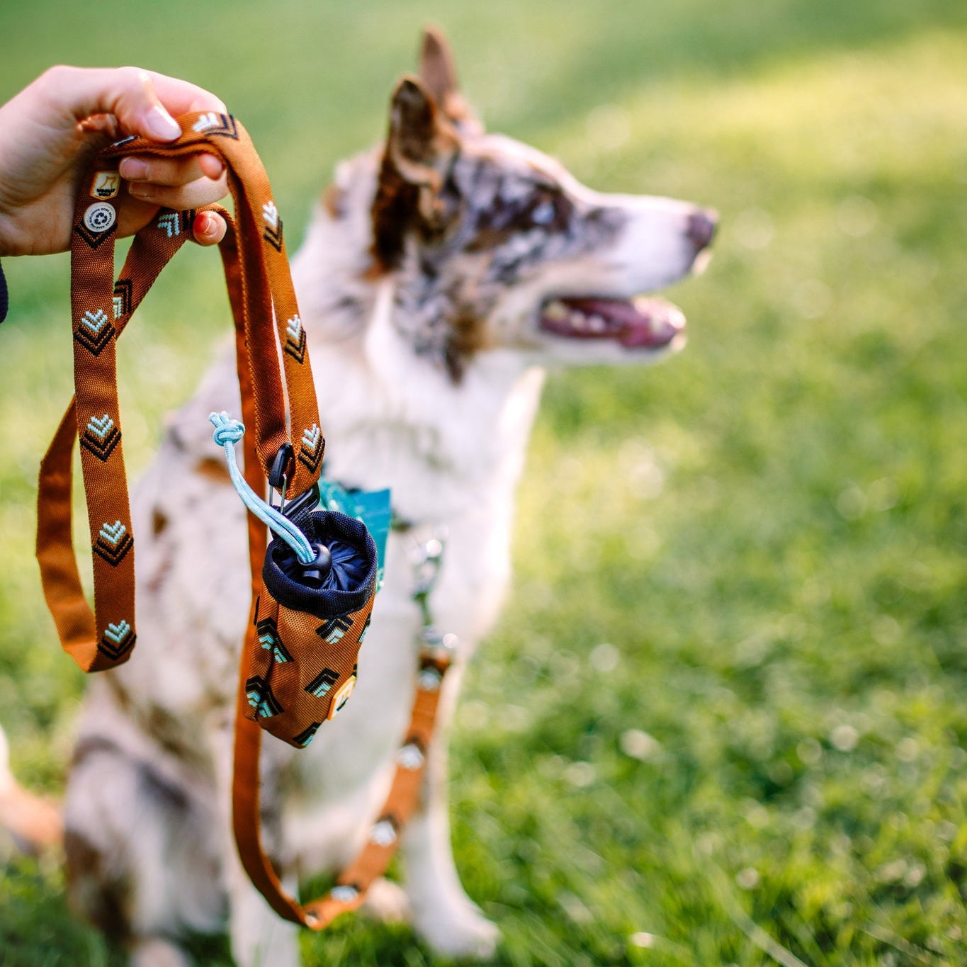 Sea to Summit Dog Poop Bag Holder - 
