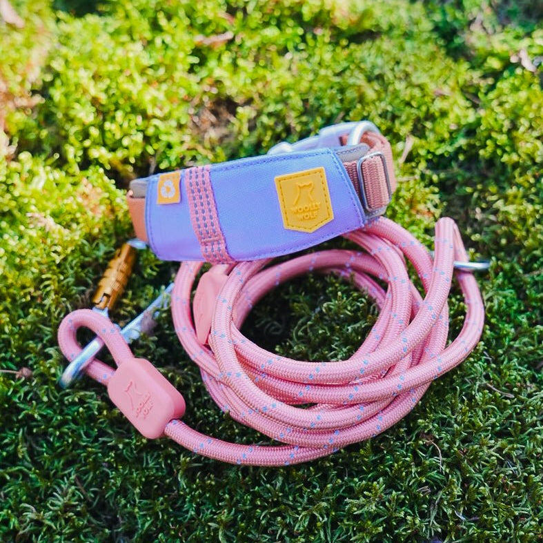 Alpha 360 Collar - Lavender MixS