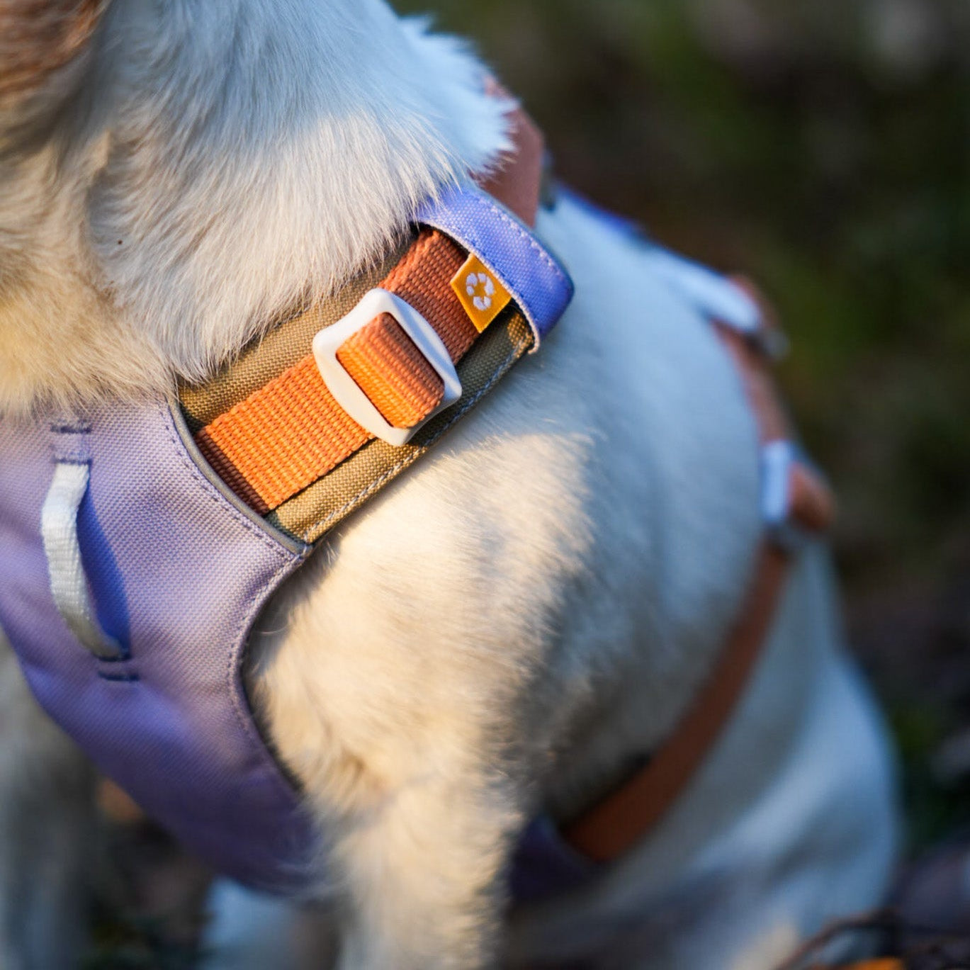 Alpha 360 Harness - Lavender MixXS