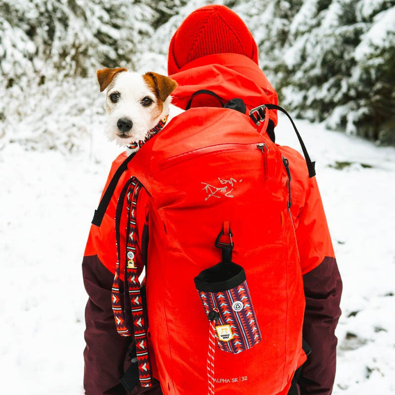 Polar Night Leash -