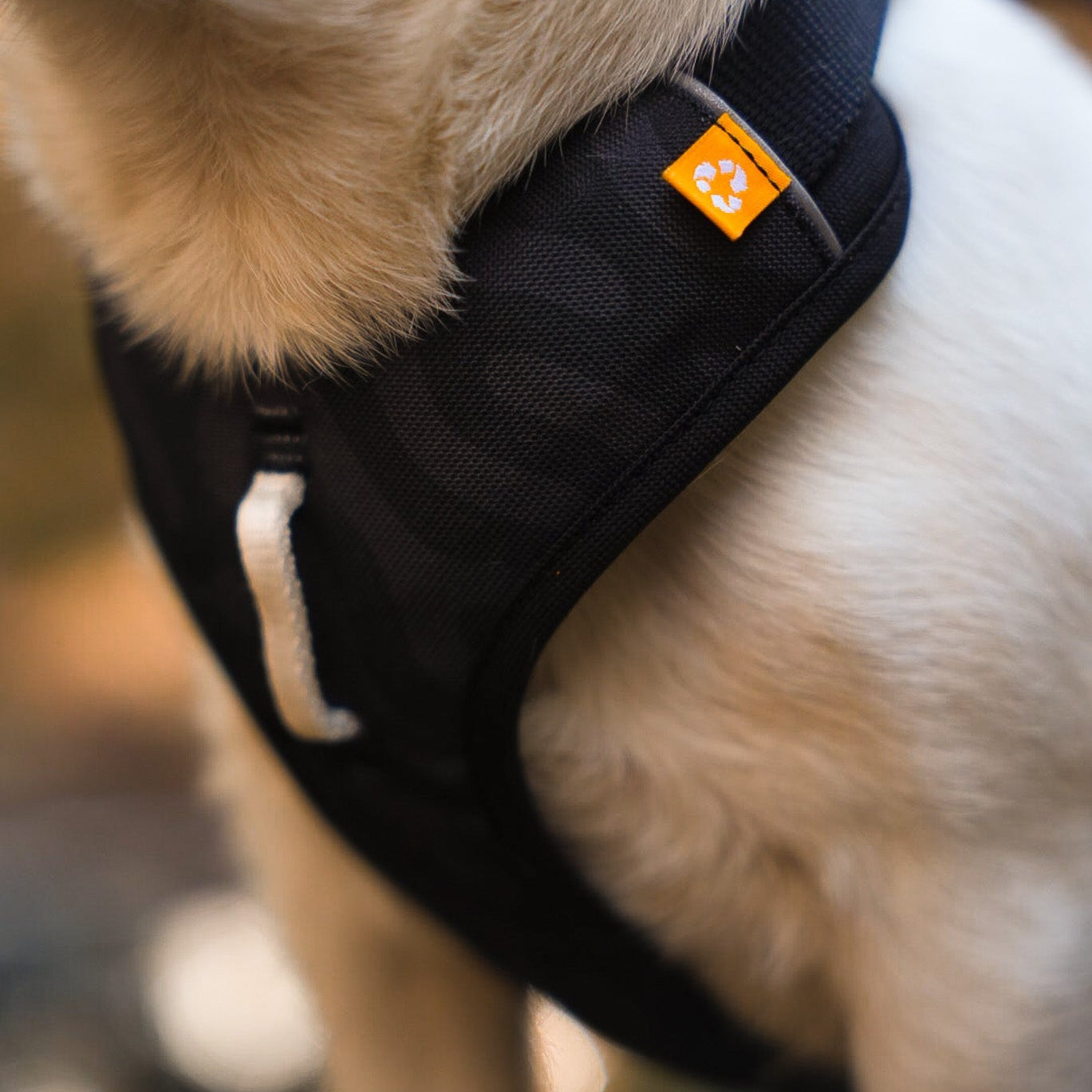 Roam Harness - Black RippleXS