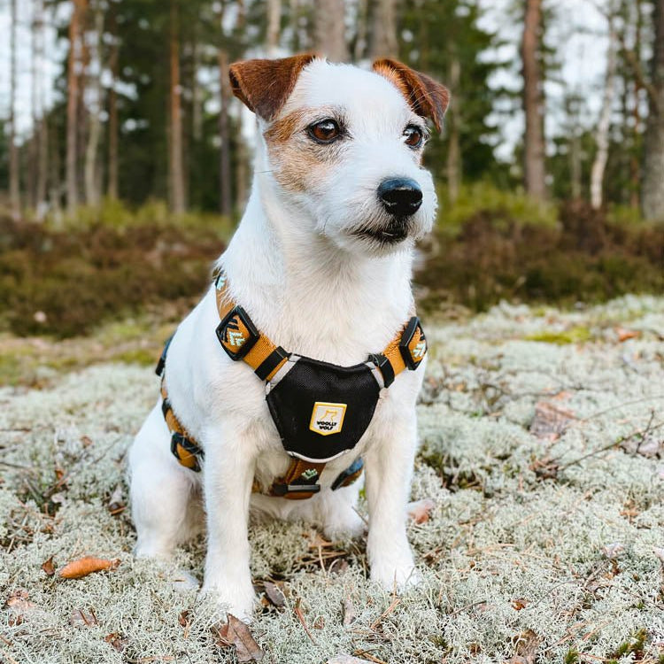 Sea to Summit Harness - XS