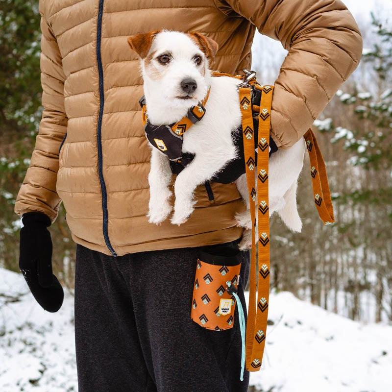 Sea to Summit Leash -