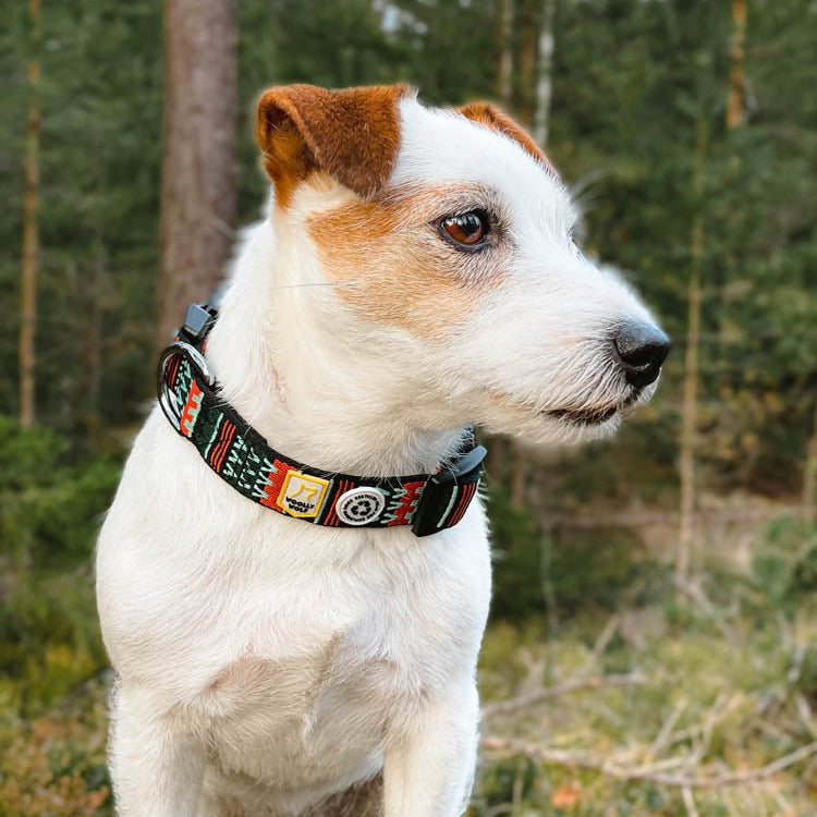 Woodland Collar - S