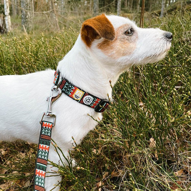 Woodland Collar - S