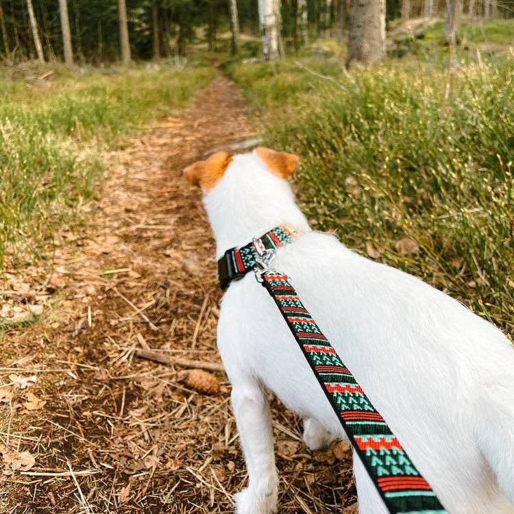 Woodland Leash -