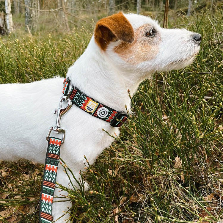 Woodland Leash -